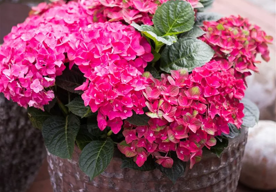 URLAUBSPARADIES GESUCHT? URLAUBSPARADIES GESUCHT?