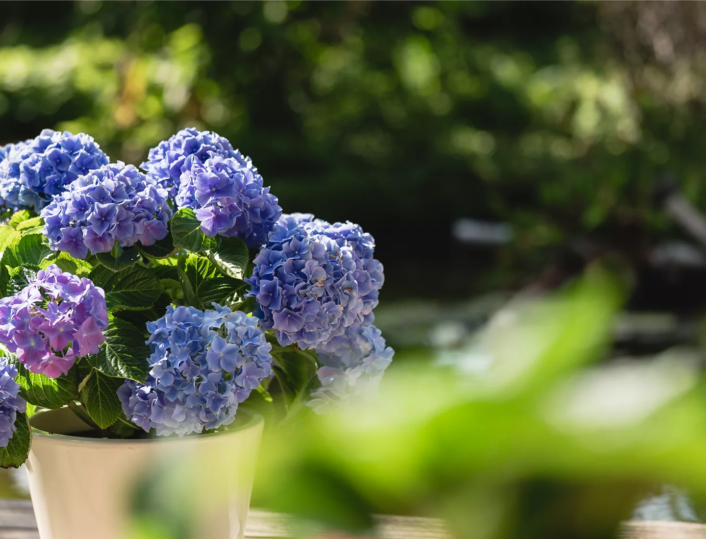 Mitte 2013 - „grün erleben“-Konzeptgruppe Mitte 2013 - „grün erleben“-Konzeptgruppe