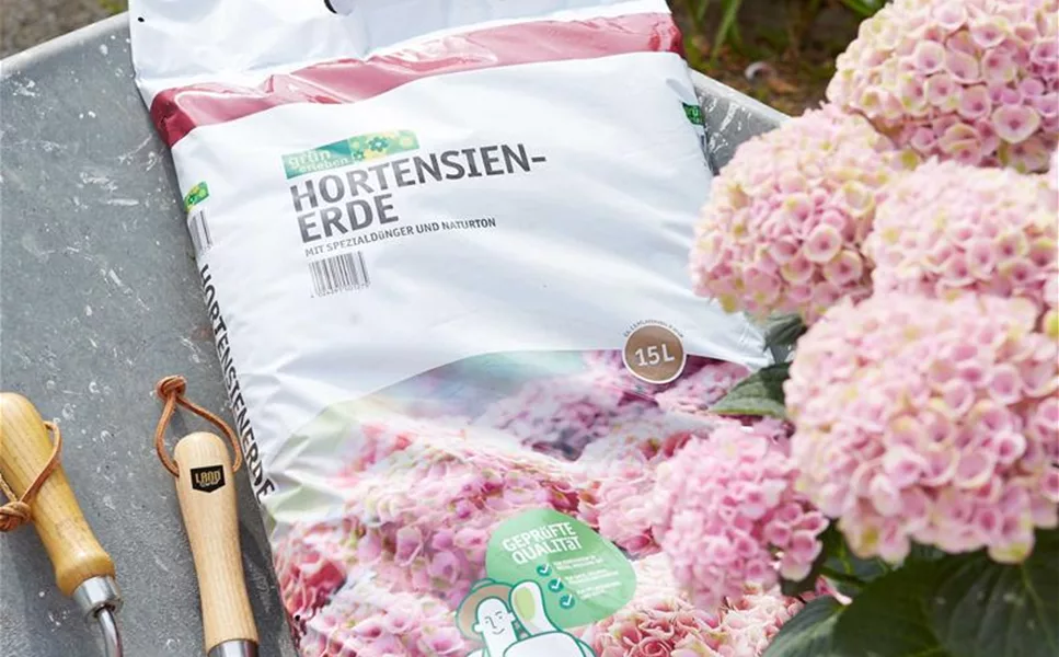 QUALITÄT - DIE AUFGEHT