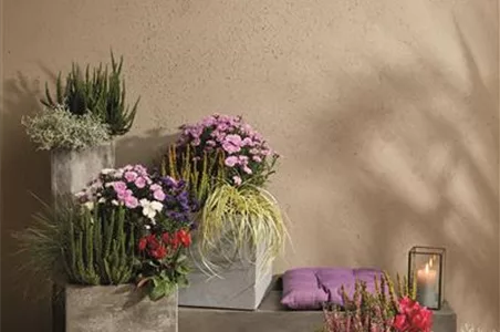 EIN KUNTERBUNTER HERBST!