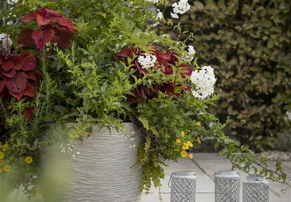 KüBEL WINTERFEST MACHEN KüBEL WINTERFEST MACHEN