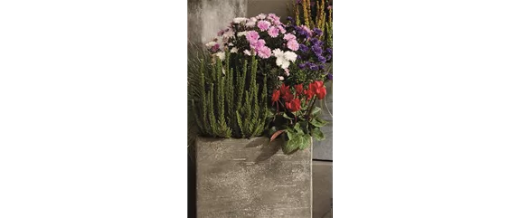 EIN KUNTERBUNTER HERBST!