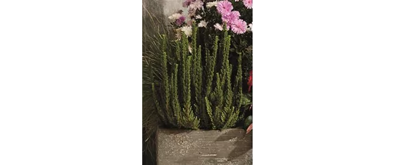 EIN KUNTERBUNTER HERBST!