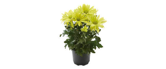 EIN KUNTERBUNTER HERBST!