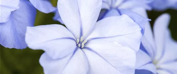 EIN KUNTERBUNTER HERBST!