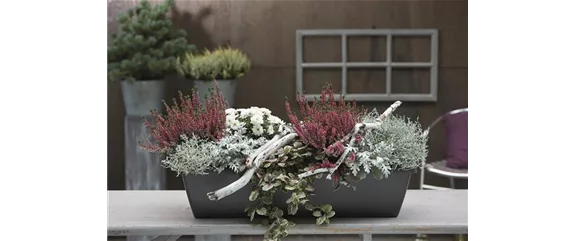 EIN KUNTERBUNTER HERBST!