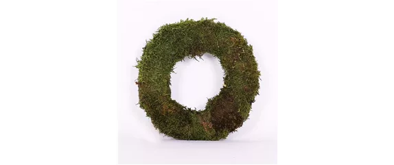 EIN KUNTERBUNTER HERBST!