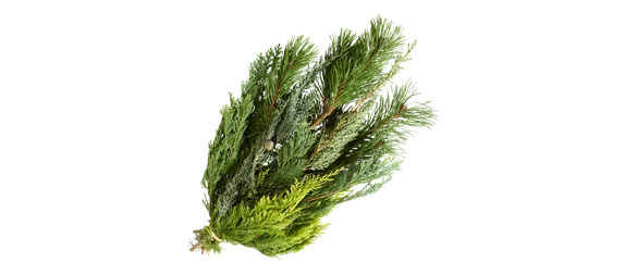 ADVENT, ADVENT – EIN KERZLEIN BRENNT! ADVENT, ADVENT – EIN KERZLEIN BRENNT!