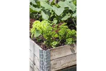 DAS DIY-HOCHBEET! DAS DIY-HOCHBEET!