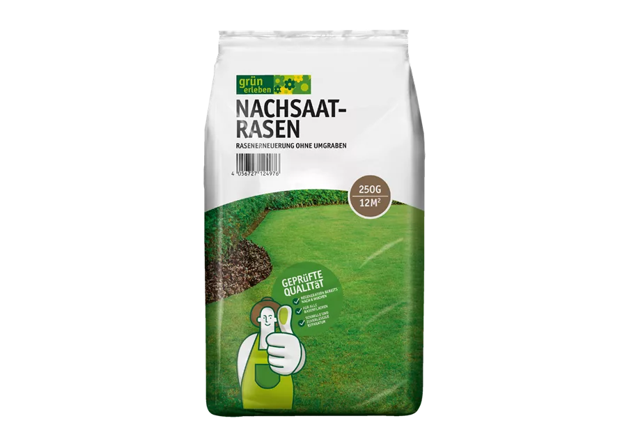 Nachsaatrasen