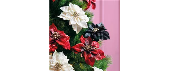 IM GLANZ DER ELEGANZ!